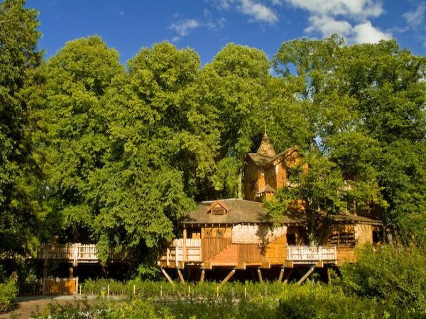 Độc đáo nhà 'ẩn hiện' dưới tán cây