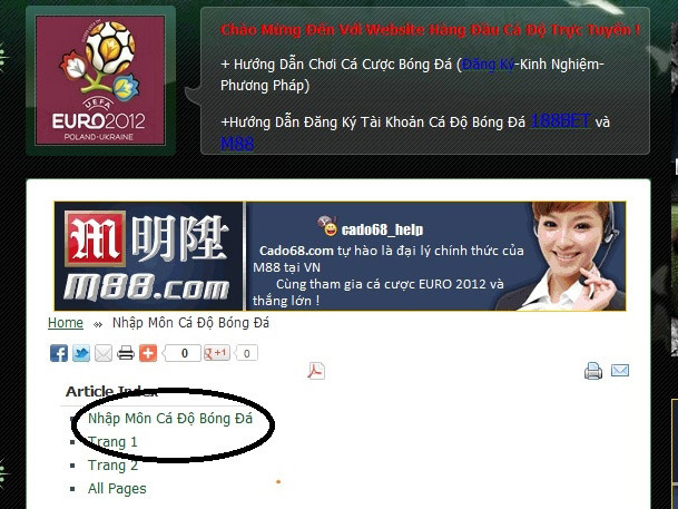 Đua giữ chỗ cá độ mùa Euro