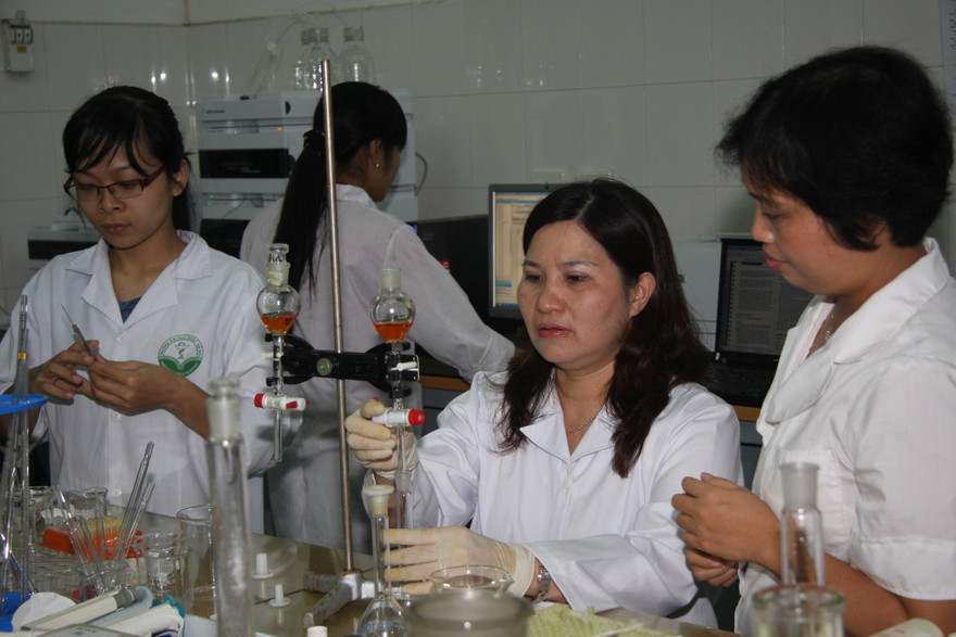 Thuốc bổ can thận với vai trò chống thoái hóa xương khớp