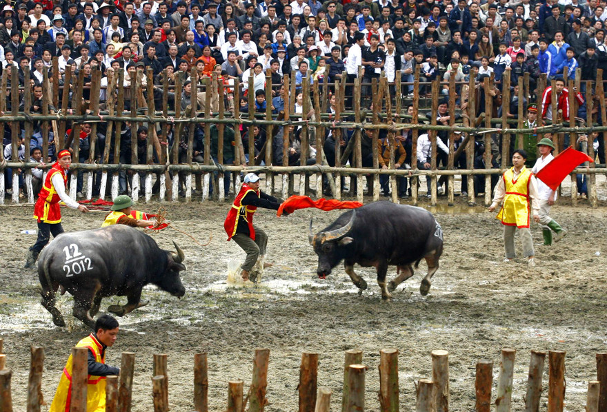 Miếng đánh bổ đao