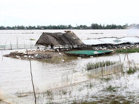 Vỡ đê liên tục, lũ lụt tấn công nhà dân