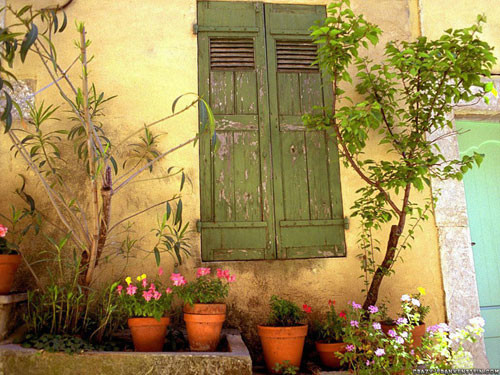 Tuần mới của bạn (5/3 - 11/3)