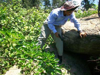 Một mình lang thang 'săn' mãnh thú ở Quảng Ngãi