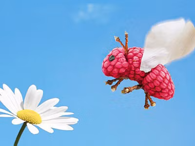 Thăm quan thế giới động vật từ rau quả