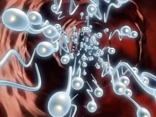 'Yêu nữ' cưỡng dâm đàn ông để lấy tinh trùng