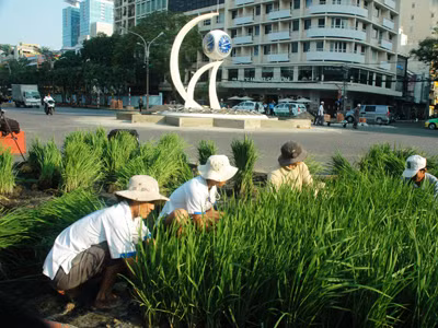 Những người khoác áo xuân cho phố