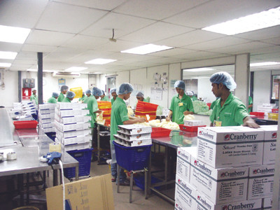 Lao động Việt Nam do Cty Châu Hưng đưa đi làm việc tại Nhà máy Southern Cable – Malaysia	Ảnh: Phong Cầm