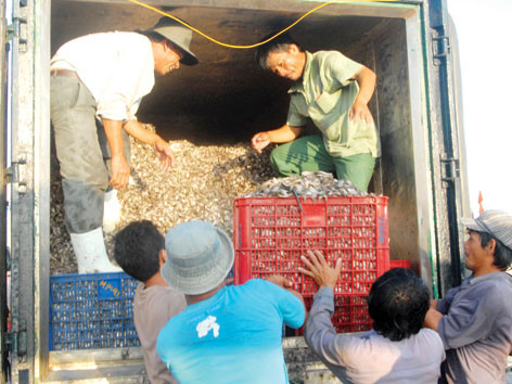Thủy sản 'bò' qua Trung Quốc: Bài học cho doanh nghiệp nội