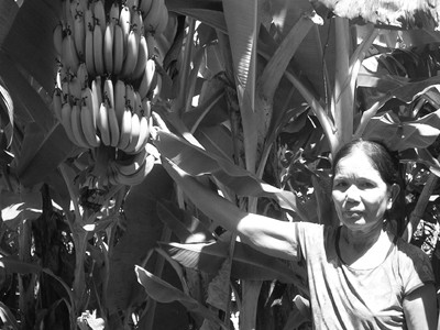 Nông dân Quảng Nam đã hưởng lợi nhiều từ dự án của ILO