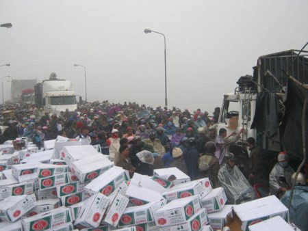 Người hôi của – họ đang ở đâu trong thuyết tiến hóa?