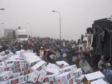 Người hôi của – họ đang ở đâu trong thuyết tiến hóa?