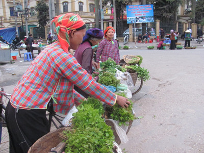 Lá sau sau rừng thành đặc sản