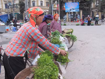 Lá sau sau rừng thành đặc sản