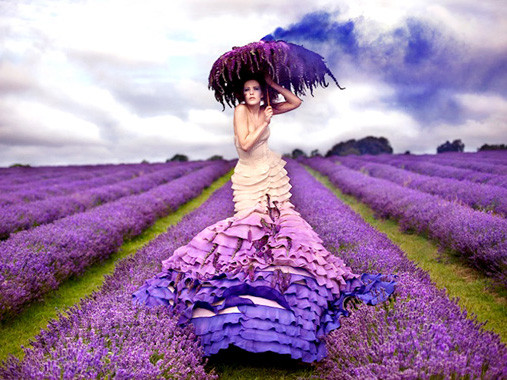 Khám phá sự thật sau những bức ảnh thần tiên