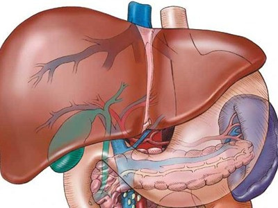 Vài điều nên biết về xơ gan
