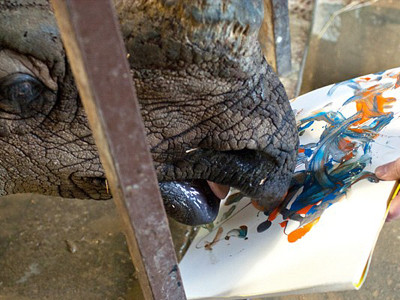 'Nàng tê giác' vẽ tranh như… Picasso