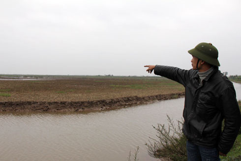 Hải Phòng dừng thu hồi đất nuôi trồng thủy sản