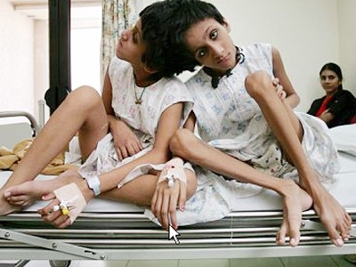 Cha cầu xin cho hai con... được chết