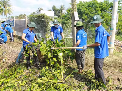 SV ĐH Kinh tế quốc dân làm tình nguyện