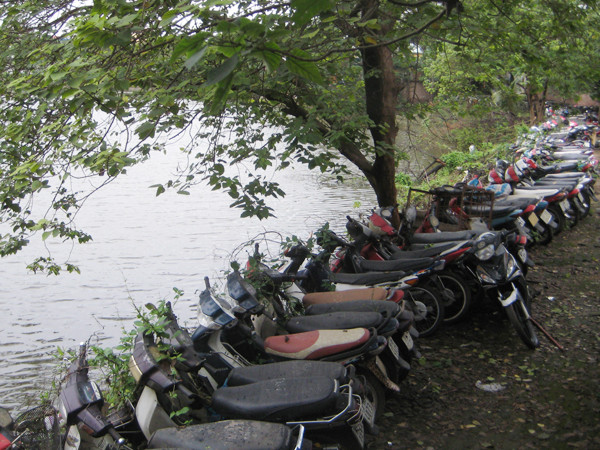 Tiêu hủy, đấu giá hay lưu kho?