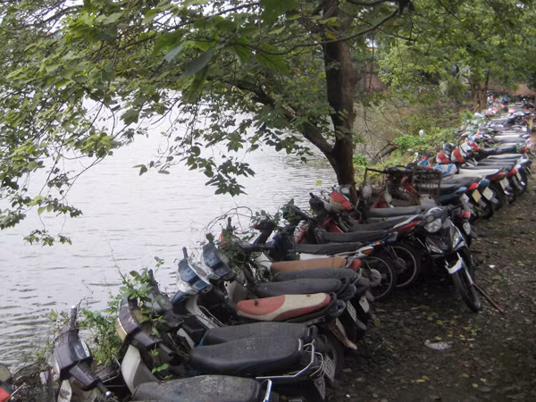 Tiêu hủy, đấu giá hay lưu kho?