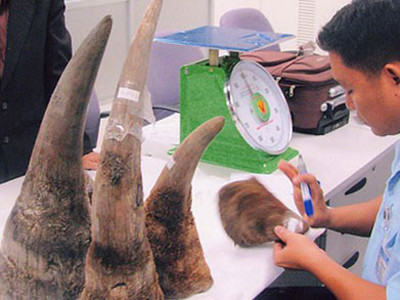 Ngành Hải quan bắt giữ, xử lý 1.671 vụ vi phạm trong tháng 5/2013