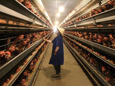 Cảnh sát môi trường Bình Phước có lạm quyền?