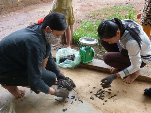 Những 'chiêu trò' khó tin của thương lái Trung Quốc