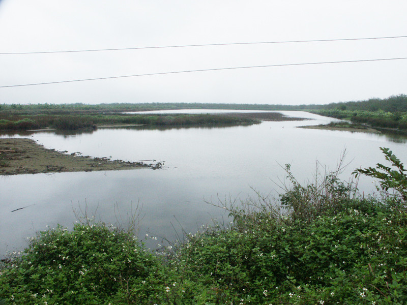 Một khu đầm của người dân xã Tiên Thắng, Tiên Lãng bị cưỡng chế thu hồi