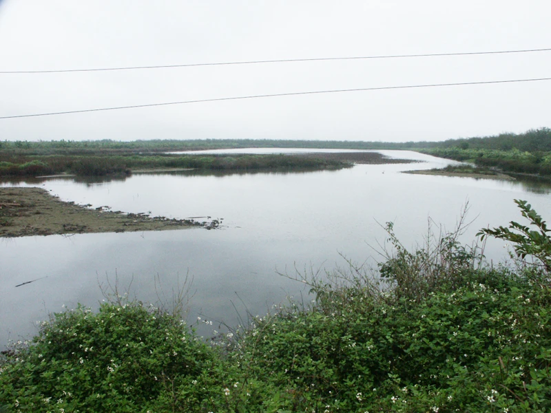 Một khu đầm của người dân xã Tiên Thắng, Tiên Lãng bị cưỡng chế thu hồi