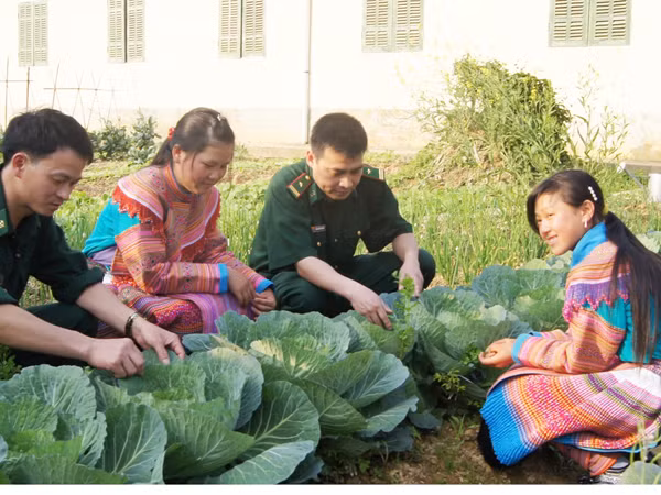 Giúp dân Pha Long thoát nghèo