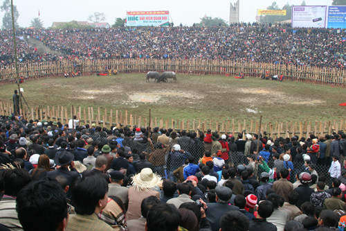 “Chọi” người giữa hội đấu ông Cầu Hải Lựu