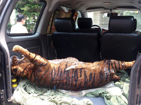 Bắt xe chở hổ đông lạnh về Hà Nội