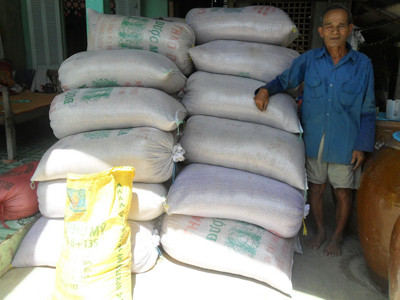 Lúa, cá lỗ nặng nông dân kiệt sức