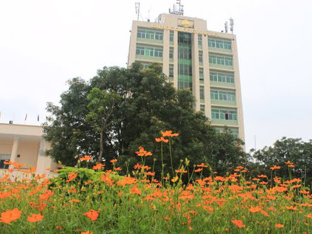 Xử lý bằng thạc sĩ do ĐH Kinh tế (ĐH Quốc gia) cấp