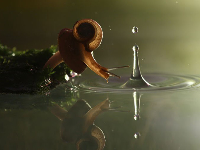 Khoảng khắc ‘hồn nhiên’ của động vật