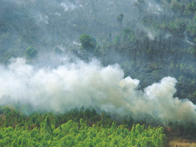 Trắng đêm dập lửa cháy rừng Bắc Biển Hồ