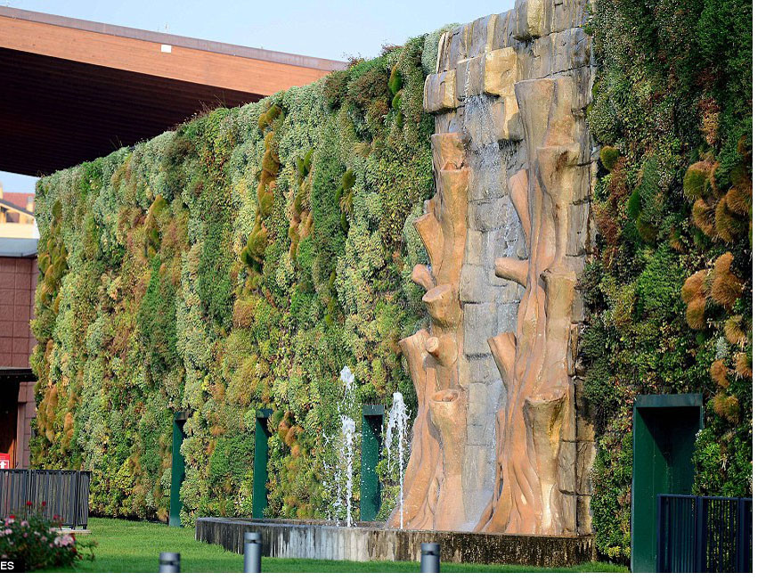 Những bức tường 'sống' của thiên nhiên