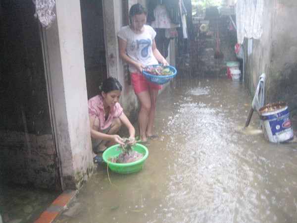 Khu trọ nhếch nhác của sinh viên Ảnh: D.N