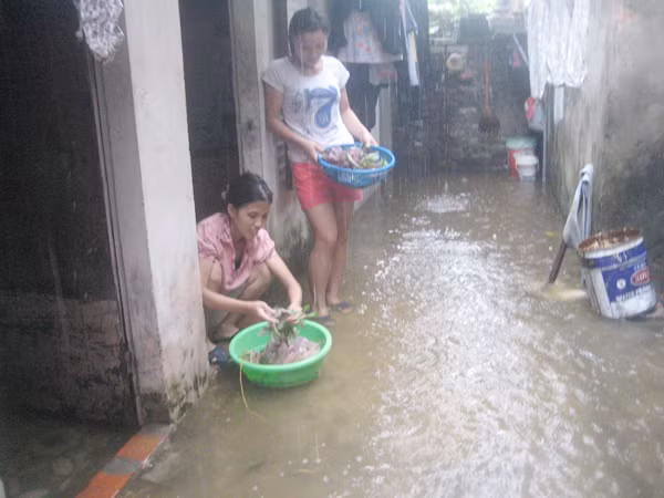 Khu trọ nhếch nhác của sinh viên Ảnh: D.N