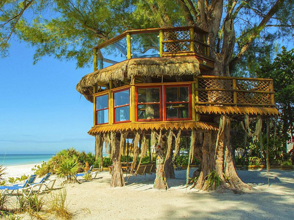 Ngắm nhà cây tuyệt đẹp trên thế giới