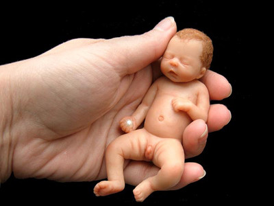 Bùng nổ thiệp Giáng sinh phi tôn giáo