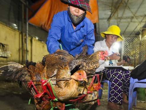 Thực phẩm bẩn nâng tầm thủ đoạn