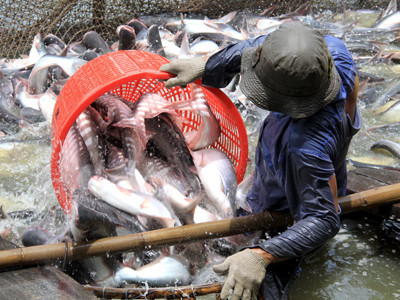 Trung ương và địa phương chênh lệch 23%