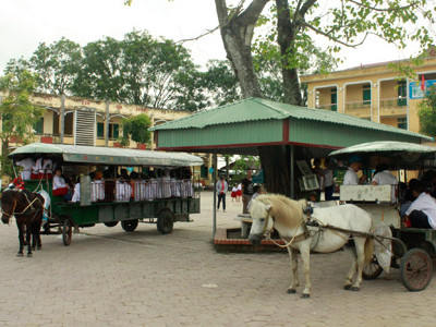 Đến trường bằng xe ngựa