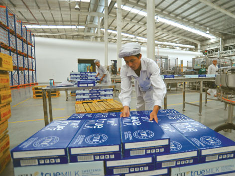 Cơ hội “vàng” cho sữa nội