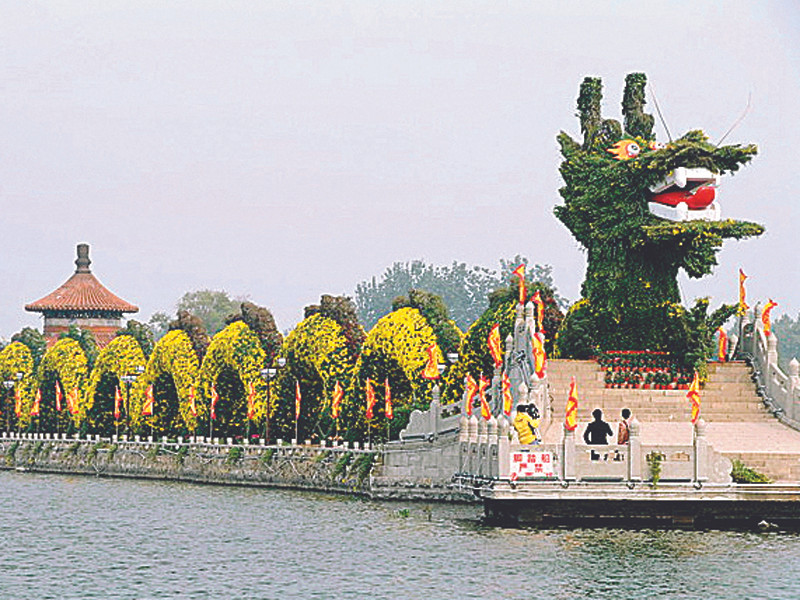 Những kỷ lục về Rồng