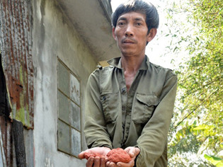 Điêu đứng vì dùng phân bón rởm