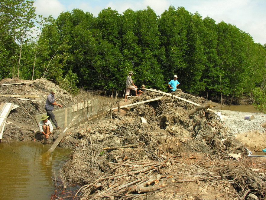 Khu rừng phòng hộ bị giao khoán cho vợ con cán bộ, bị tàn phá để nuôi tôm
