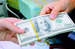 Rủi ro tài chính vĩ mô: Lớn nhất là tỷ giá